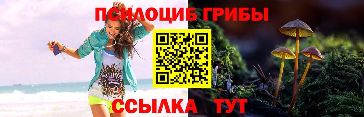 Галлюциногенные грибы Magic Shrooms Отрадное